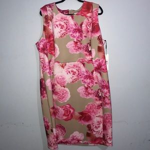 Plus Size Calvin Klein Sheath Dress